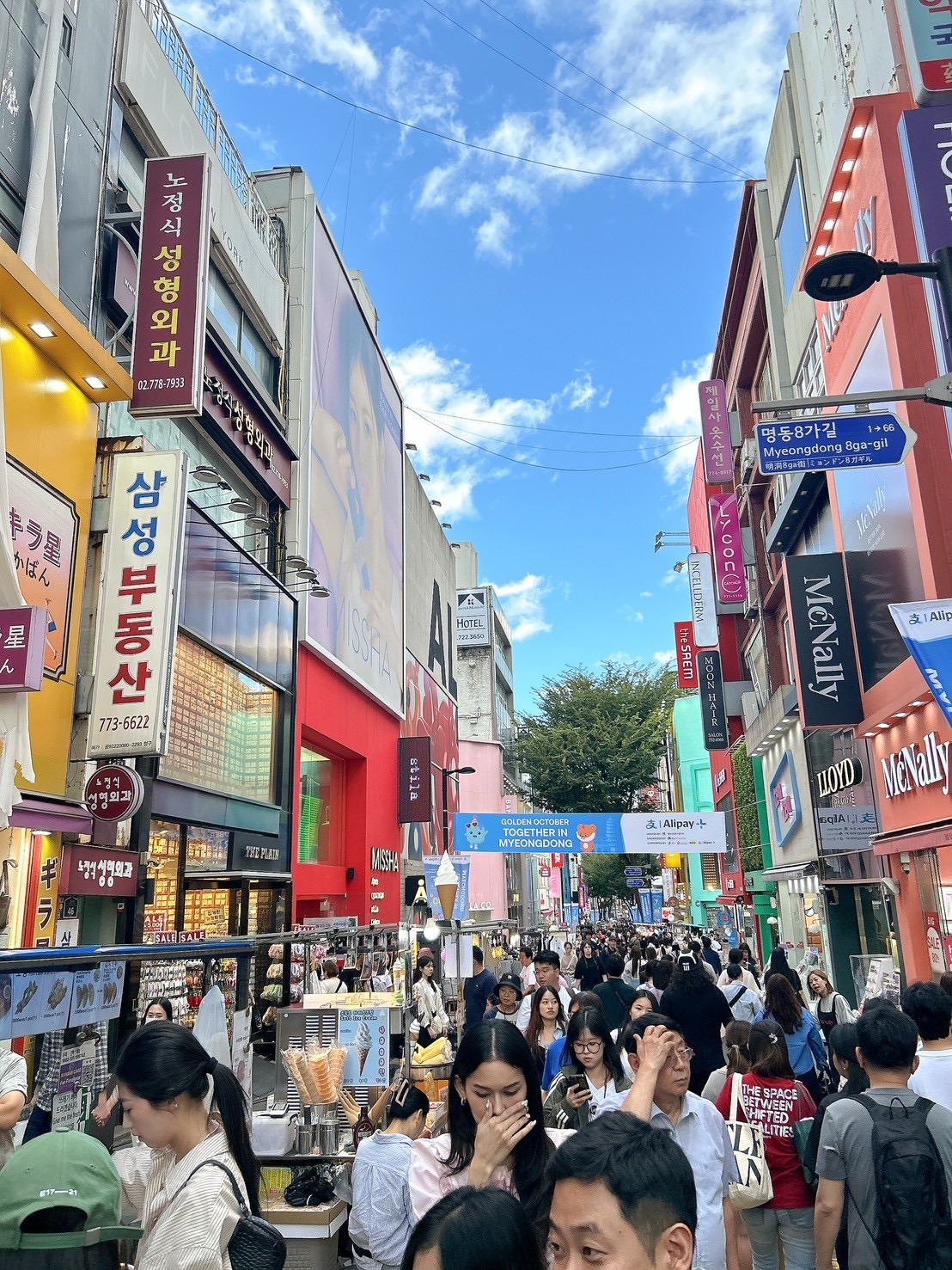 恋達韓国合宿